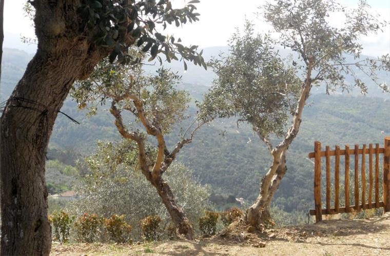 Casale Il Gheppio Vendégház Laureana Cilento Kültér fotó
