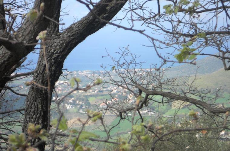 Casale Il Gheppio Vendégház Laureana Cilento Kültér fotó