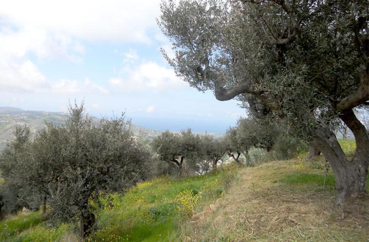 Casale Il Gheppio Vendégház Laureana Cilento Kültér fotó