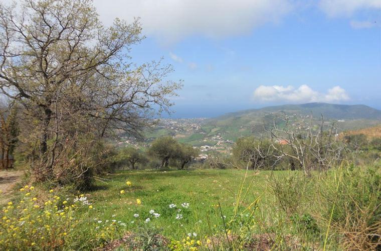 Casale Il Gheppio Vendégház Laureana Cilento Kültér fotó